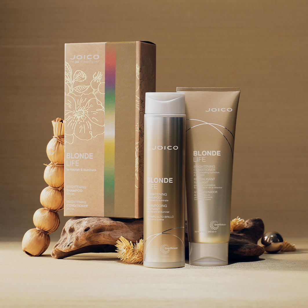 Joico Blonde Life Brightening Kit Gift Set