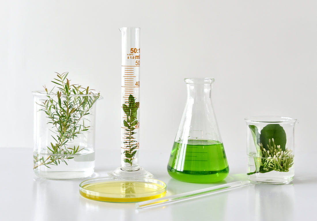 What Is Clean Beauty?