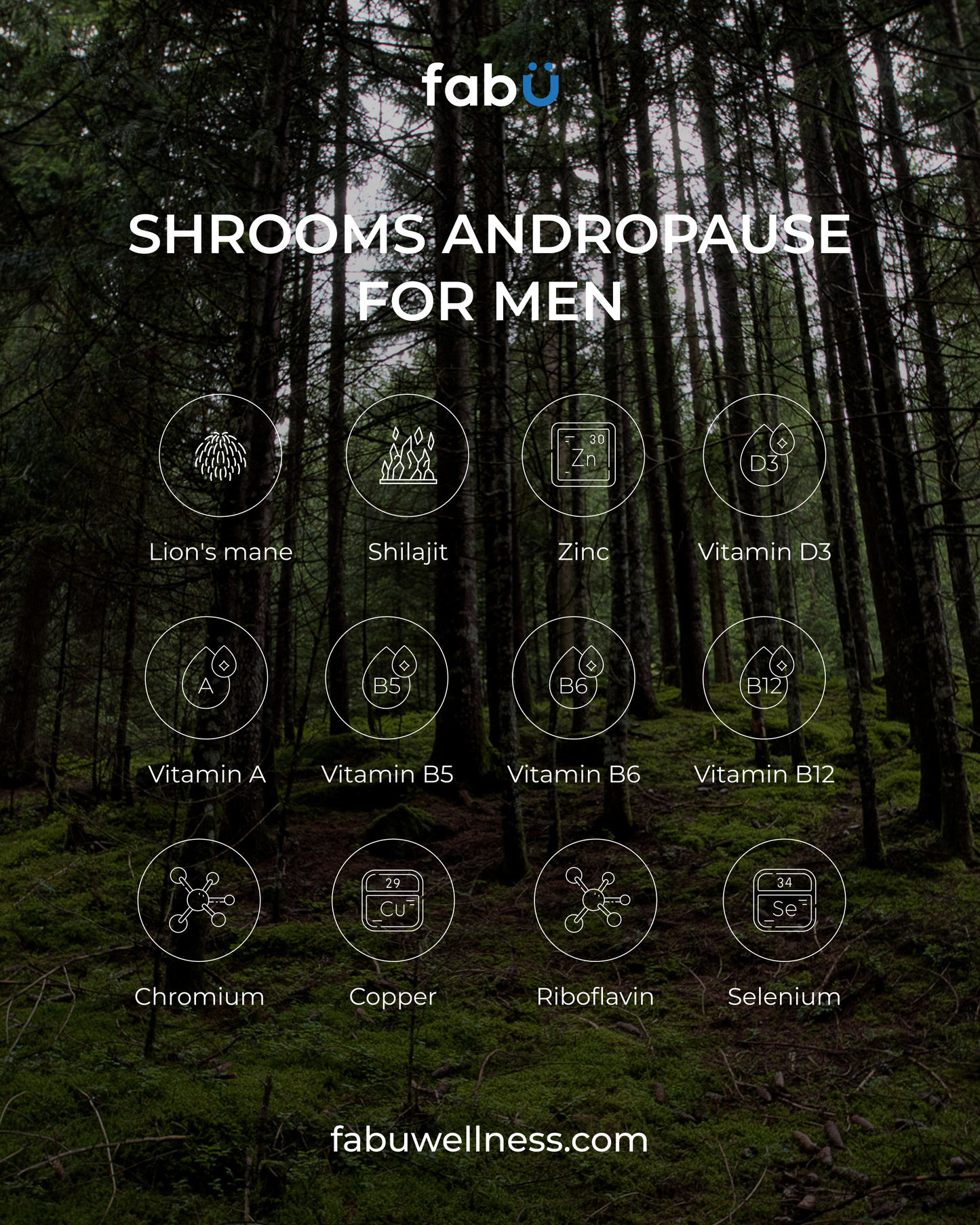 fabÜ Shrooms Andropause for Men