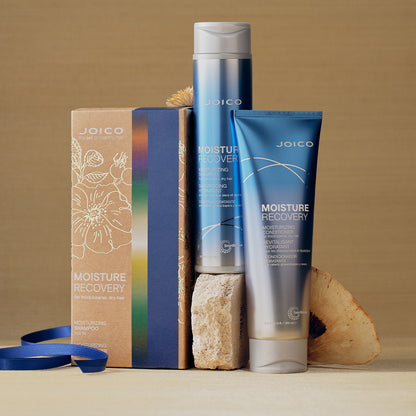 Joico Moisture Recovery Kit Gift Set