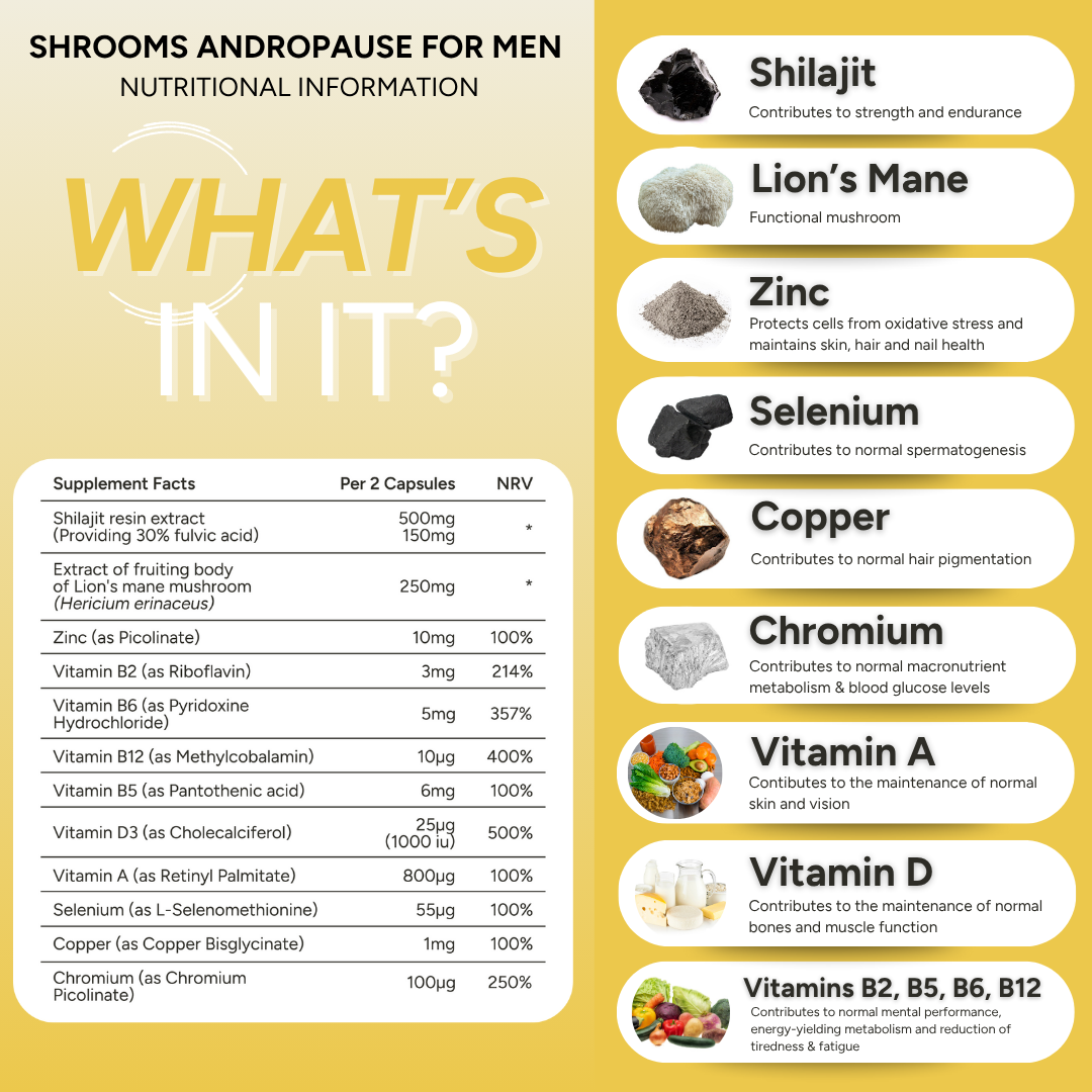 fabÜ Shrooms Andropause for Men