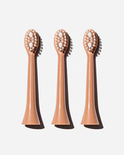 Load image into Gallery viewer, Spotlight Oral Care Sonic Toothbrush Replacement Heads in Rose Gold
