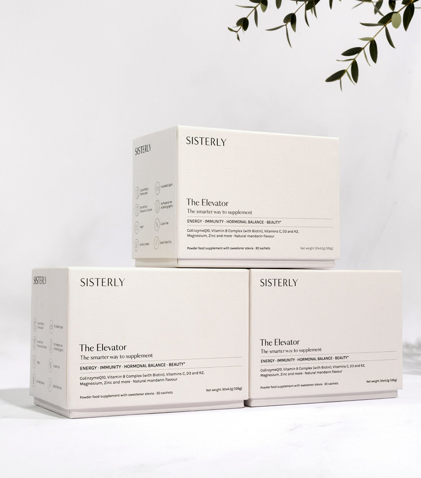 Sisterly - The Elevator - 3 month bundle