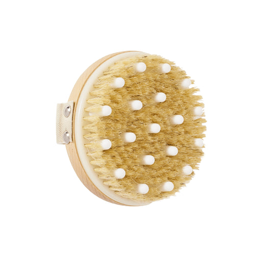 daily concepts detox massage dry brush
